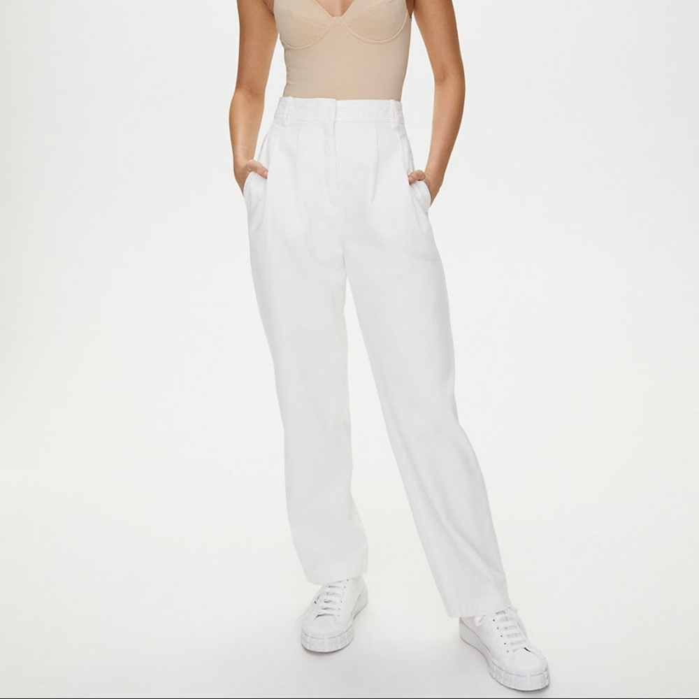 Aritzia The Group by Babaton ANTARES PANT